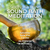 June 21st, 2025 - Saturday 7-8 PM PT - Soundsation's Sound Bath Meditation - In-Person In Bothell